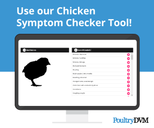 Go to Duck Symptom Checker