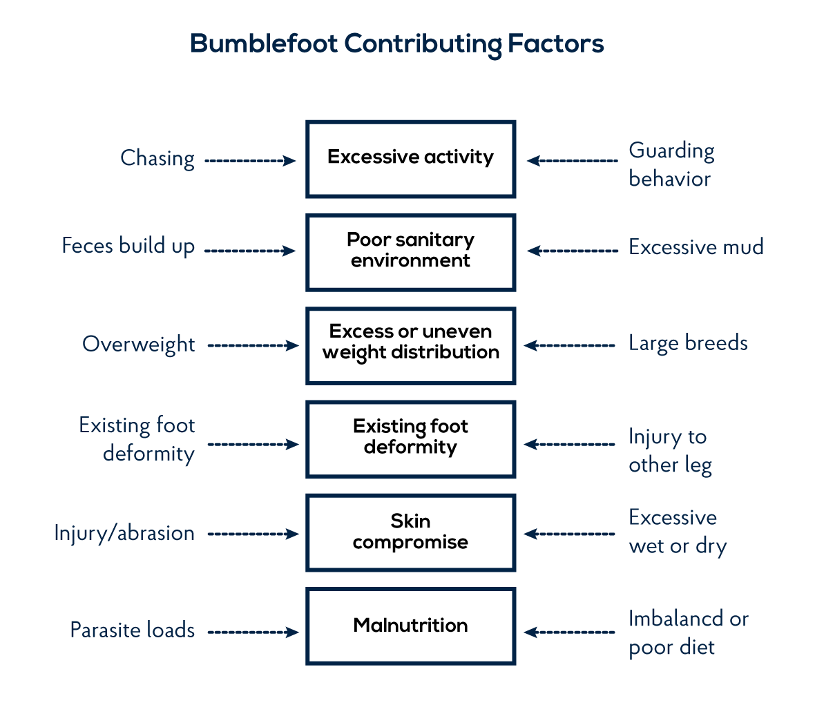 Bumblefoot contributing factors in ducks
